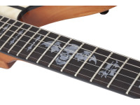 schecter-synyster-std-plus-fr-gn_6a858b34d66d7.jpg