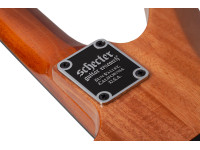schecter-synyster-std-plus-fr-gn_6a858b38cee42.jpg