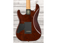 schecter-usa-custom-shop-cet-50th-anniversary-golden-anniversary-41-of-50_69982da68a1dc.jpg