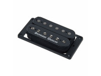 seymour-duncan-black-winter-bridge-trem_6a5f48f67bd3e.jpg
