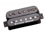 seymour-duncan-black-winter-neck_5cf539f64a445.jpg