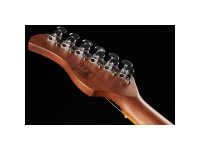 Sire Larry Carlton S7FM 2nd Gen Natural