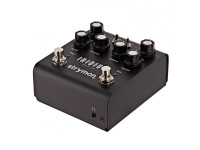 Strymon Iridium Amp & IR Cab 