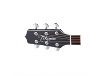takamine-ef341sc-lh_5b3f289e545a1.jpg