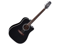 takamine-ef341sc_5b3f28f32488f.jpg