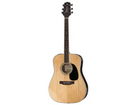 takamine-ef360gf-glenn-frey-w-softcase_68ade028e2136.jpg