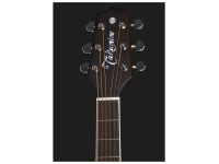takamine-ef360gf-glenn-frey-w-softcase_68ade03385905.jpg