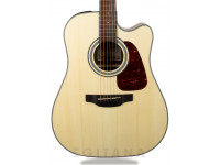 takamine-gd10ce-n_605b557b2b76e.jpg