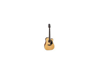 takamine-gd30ce-n_6a880e1b14ef8.jpg
