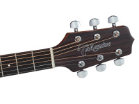 Takamine GD30CE-N 