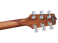 Takamine GD30CE-N 