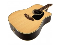 takamine-gd51ce-nat_5b3e418a93ebe.jpg