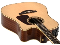 takamine-p4dc_5b3f27b534725.jpg
