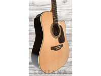 takamine-p5dc_635fea6023ee4.jpg