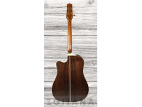 takamine-p5dc_635fea62d0de7.jpg