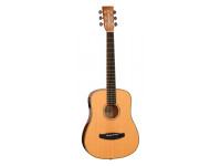Tanglewood  TRX2E