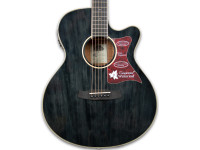 tanglewood-tw4-bs_62b5cef85da8c.jpg