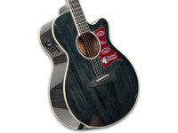 tanglewood-tw4-bs_62b5cef965329.jpg