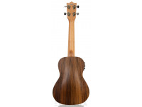 tanglewood-twt-9-e_605e27ce91088.jpg