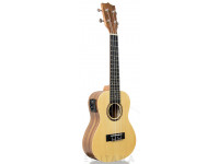tanglewood-twt-9-e_605e27d04d21e.jpg