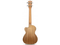 tanglewood-twt14e_605dcd64d06e3.jpg