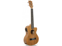 tanglewood-twt14e_605dcd6774fac.jpg