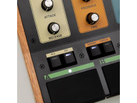 walrus-audio-dfx-1_6985f69a4a4a0.jpg