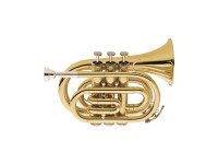 wisemann-pocket-trumpet-sib-dpt-400_671267dd56402.jpg