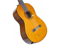 Yamaha C40