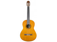 Yamaha C40