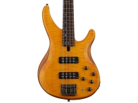yamaha-trbx604fm-matte-amber_5b042733a3bf2.jpg