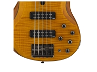 yamaha-trbx605fm-matte-amber_5b0429e121576.jpg