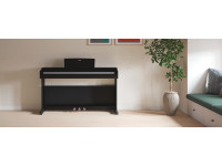 Yamaha YDP-146 B Arius